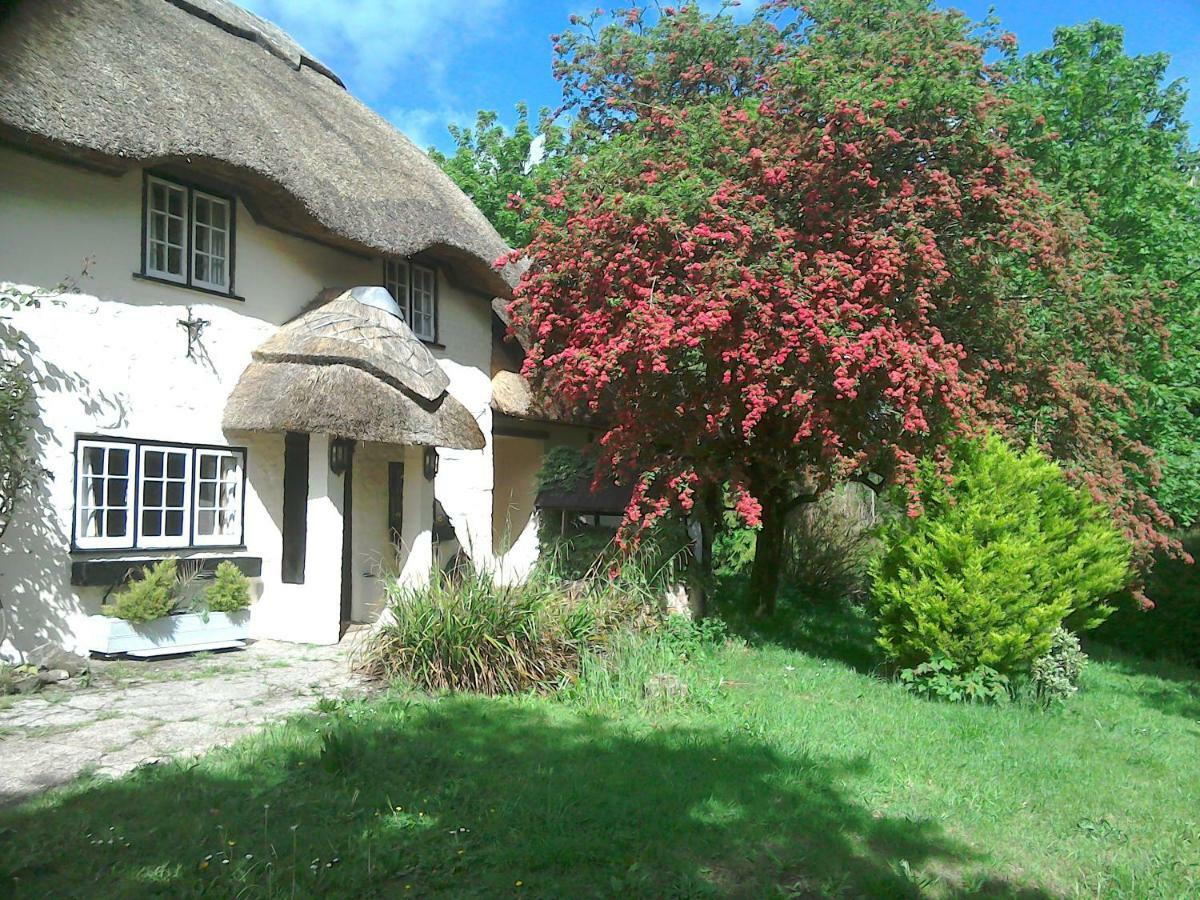 The Crown Inn Alvediston Eksteriør bilde
