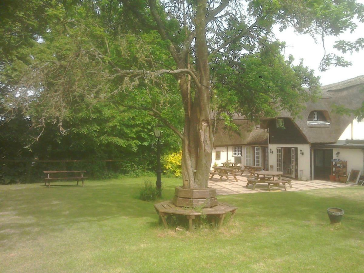 The Crown Inn Alvediston Eksteriør bilde